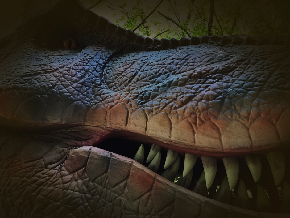 ダイナソーパークで冒険