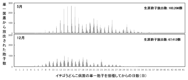 図1　静電気胞子回収装置を用いたイチゴうどんこ病菌（KSP-7N）の単一菌叢における生涯胞子放出数の測定