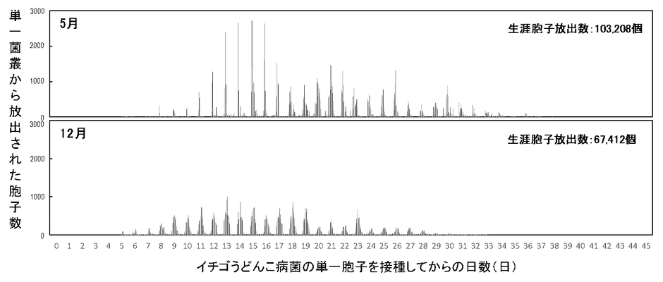 図1　静電気胞子回収装置を用いたイチゴうどんこ病菌（KSP-7N）の単一菌叢における生涯胞子放出数の測定