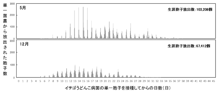 図1　静電気胞子回収装置を用いたイチゴうどんこ病菌（KSP-7N）の単一菌叢における生涯胞子放出数の測定