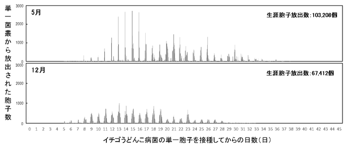 図1 静電気胞子回収装置を用いたイチゴうどんこ病菌(KSP-7N)の単一菌叢における生涯胞子放出数の測定