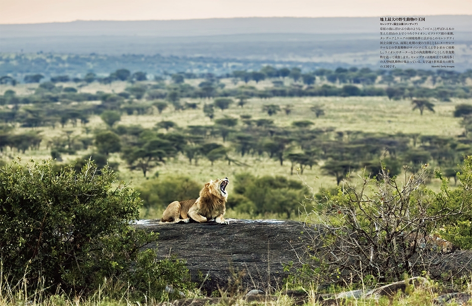 『ナショナルジオグラフィック　いちばん美しい世界の絶景遺産』