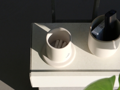 Ash-Pot3