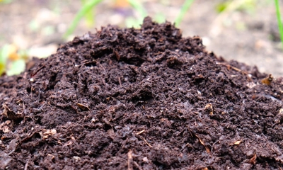 家庭用コンポスト市場分析レポート：売上高、成長率、競合環境2026