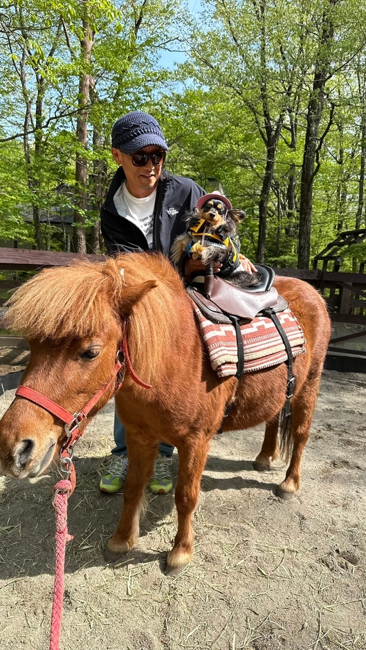 わんちゃんポニー乗馬体験