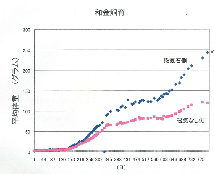 和金飼育実験データ