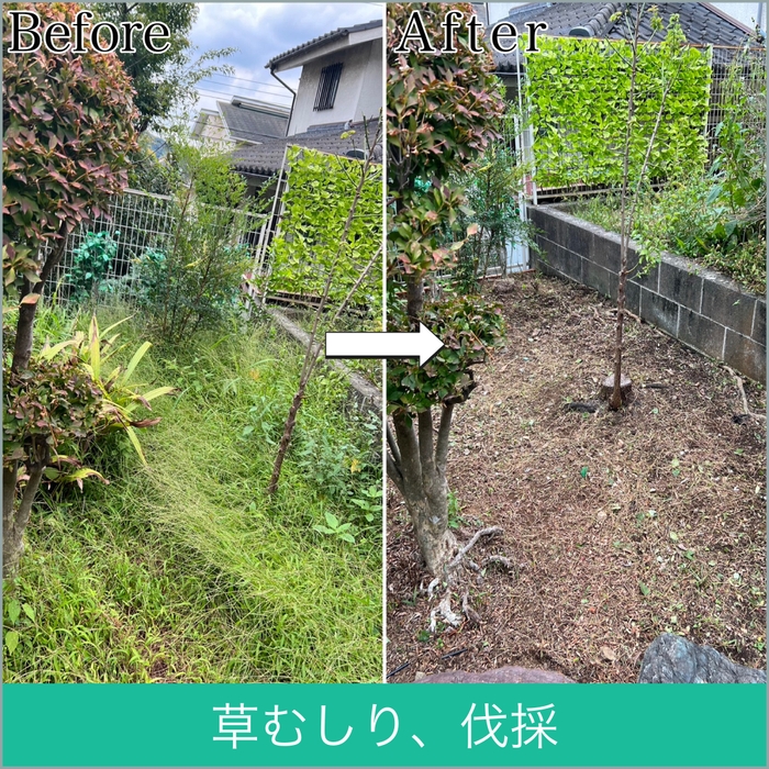 便利屋「岩美」　伐採の様子