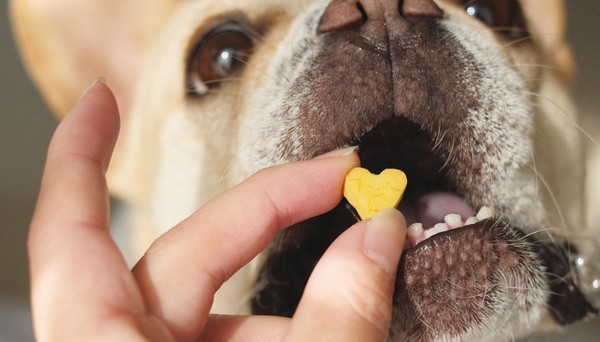 「“わけあえる”しあわせを、一緒に。」 犬と人、どちらにとっても安心して楽しめるおやつを。