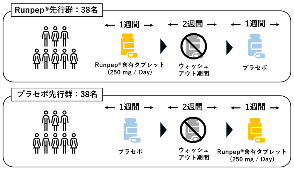 試験の流れ