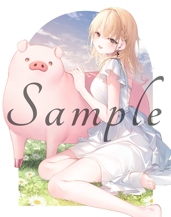 全巻収納BOX(表)