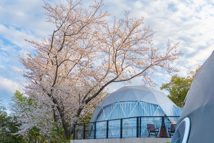 ※オーシャンテラス <サクラ> 外観