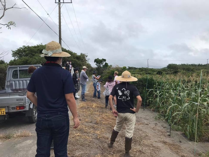 明治大学農学部を交えた共同作業 館山市安西農園にて 館山市