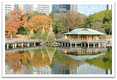 デジタル特典画像(イメージ)