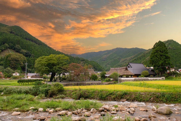 面積の約95%を森林が占める。のどかな風景が広がる西粟倉村