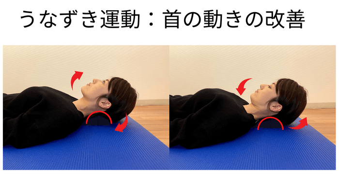 リセットエクササイズ:うなずき運動