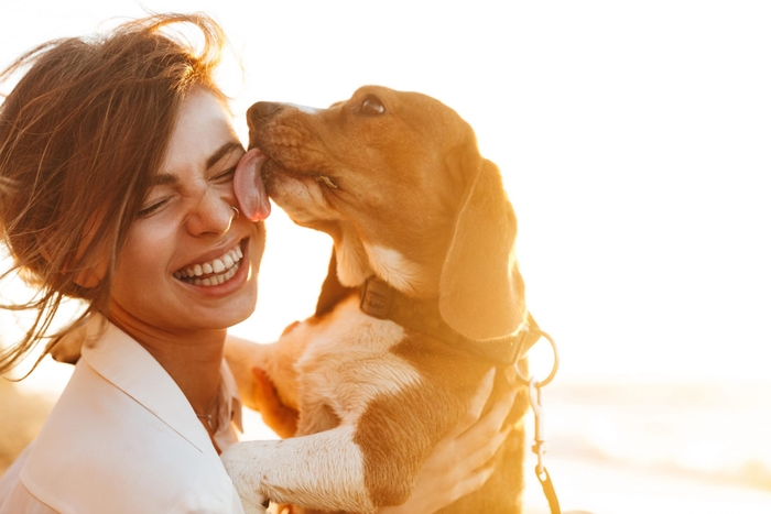 ここまで愛犬が興味をなくしやすいオモチャの特徴をお伝えしました。