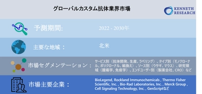 グローバルカスタム抗体業界市場調査―2022-2030年の予測期間中に11％のCAGRで拡大すると予測