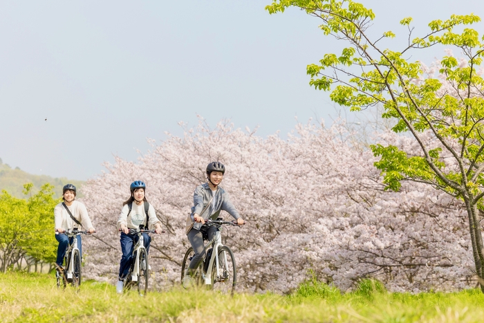 狩野川沿いをサイクリング4