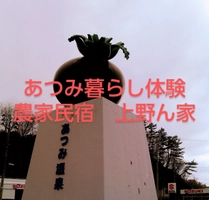 農家民宿　上野ん家