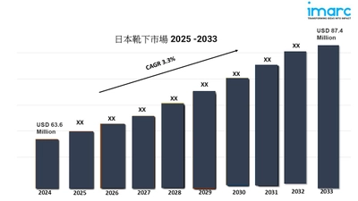 日本の靴下の市場規模、シェア、動向、成長、レポート、予測2025-2033