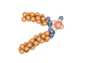 フッ素化合物レポート：最新動向と今後5年間の市場成長予測2026-2032