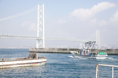 淡路島の漁風景