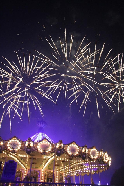 夜空を華やかに彩る打上花火