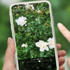 「バラノナ」（使用イメージ）