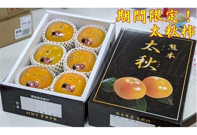 熊本県産「太秋柿(たいしゅうがき)」