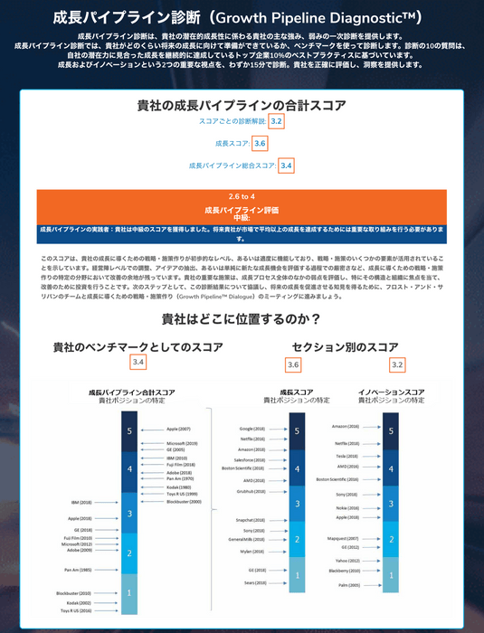 診断結果サンプル