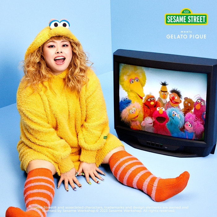 SESAME STREET meets GELATO PIQUE ビッグバード