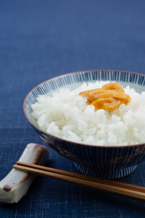 岩手県九戸郡洋野町 北三陸「うに牧場」(R)