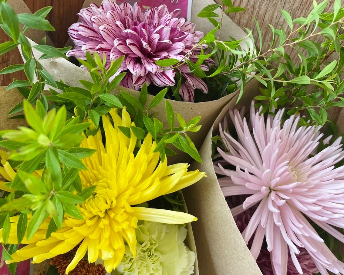 本日9月9日(金)は日本の伝統行事【重陽(ちょうよう)の節句】です