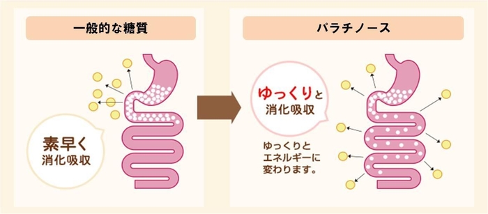 ゆっくり消化吸収される図