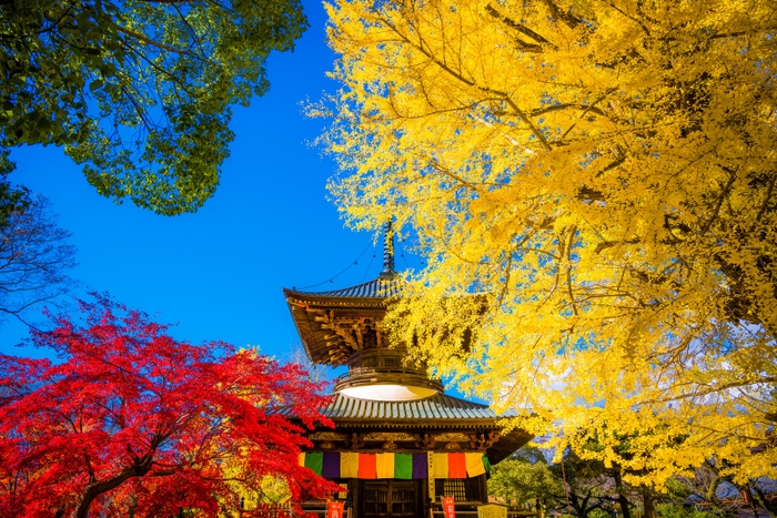 鑁阿寺1