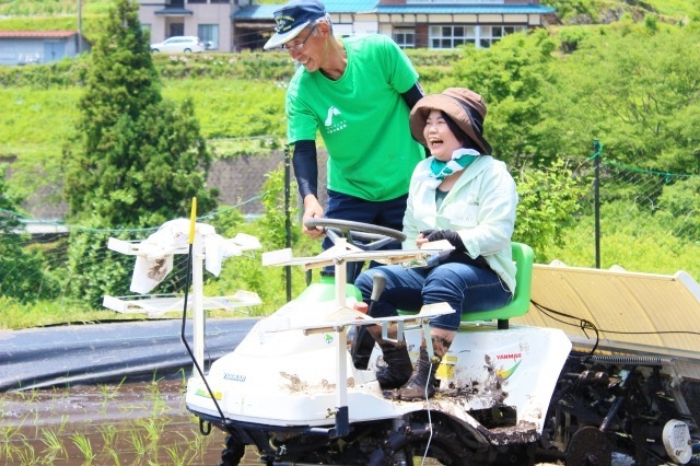 機械植え体験も