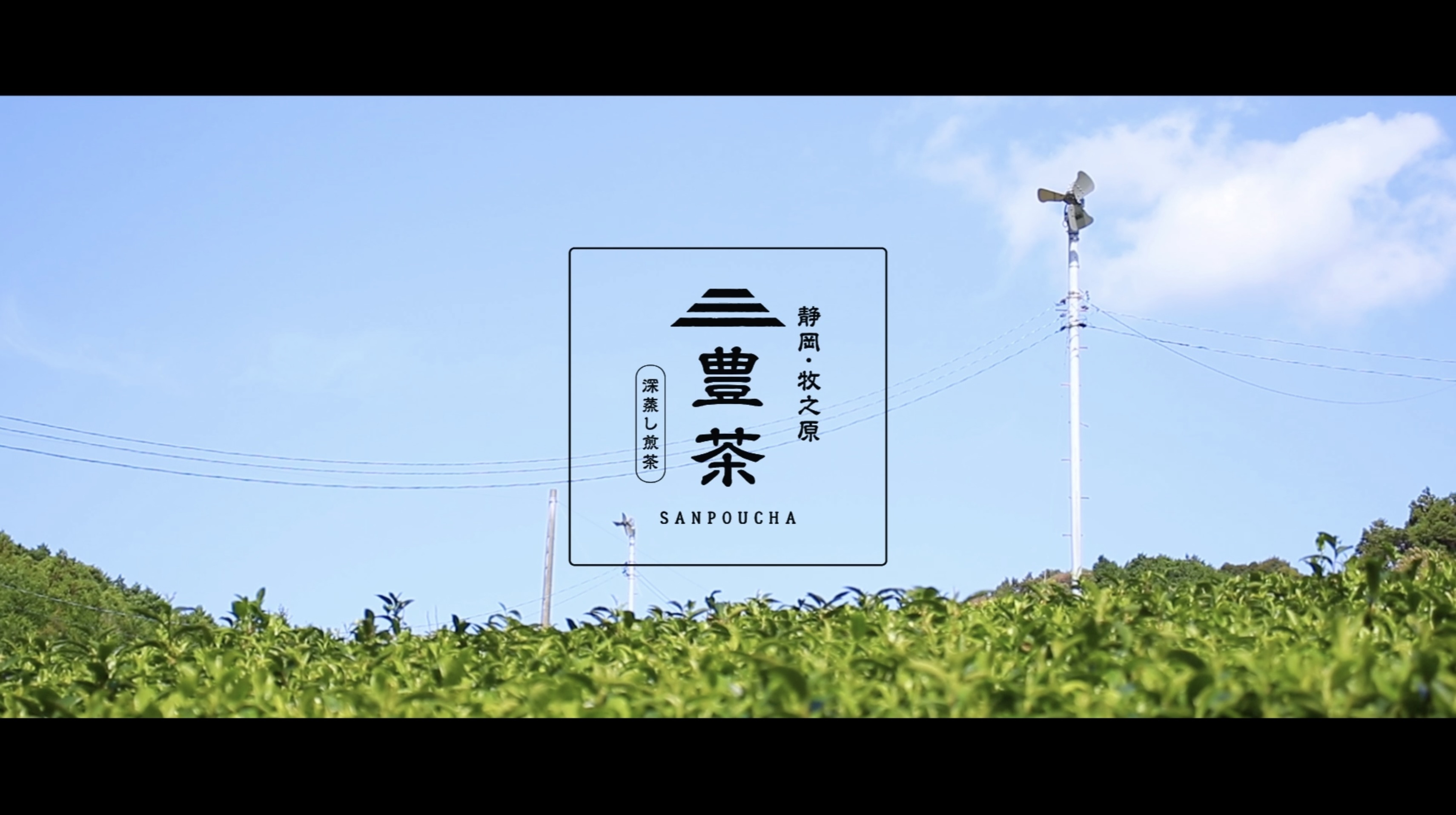 実績_4