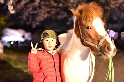 夜桜限定イベント｢ポニーと夜桜撮影会｣