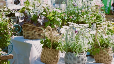 GreenSnap Marche(1)