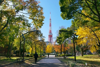 会場の4号地プロムナード