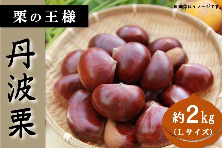 栗の王様が「JAタウン」初登場! 兵庫県産「丹波栗」が産地直送通販サイト「JAタウン」で販売開始!