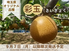 果汁あふれる埼玉県オリジナル梨「彩玉（さいぎょく）」を
産地直送通販サイト「ＪＡタウン」で予約販売開始！
