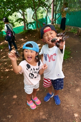 長野県佐久市、国内最大級「カブトムシドーム」 特別無料公開は7月20日(土)から