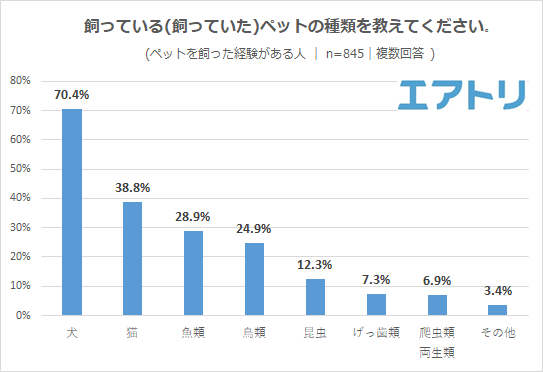 珍しい ペット 安い 飼っ てる 人