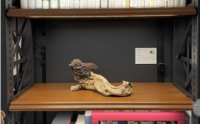 令和7年（2025年）に開催した「図書とアート展」の様子