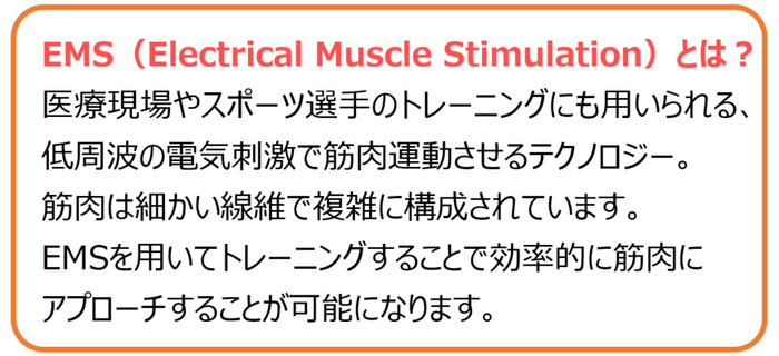 EMSとは?