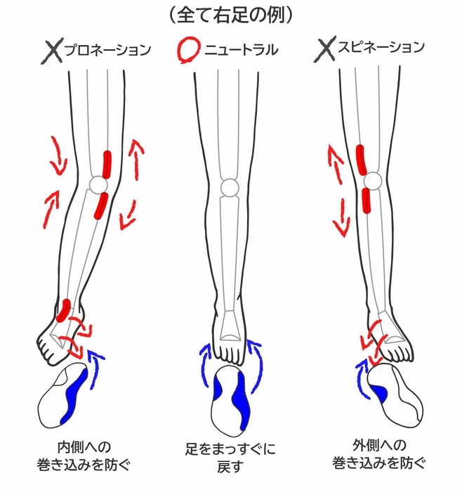 足裏パーツで膝がまっすぐになる