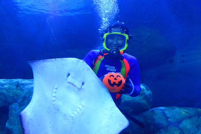 水中ショー・マッスルハロウィンバージョン