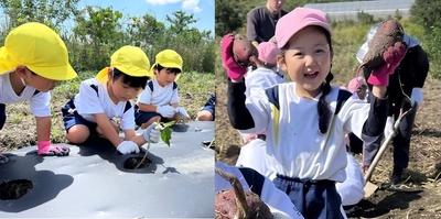 幼稚園児が収穫したイモや野菜を使用し、「キッズクッキング」を実施　野菜の苗植え、収穫の育成体験から、調理し食べるまで、食育の集大成