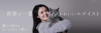 猫好き女子のためのフォトジェニックな猫グッズ通販サイト 『necotaro.com』オープン！